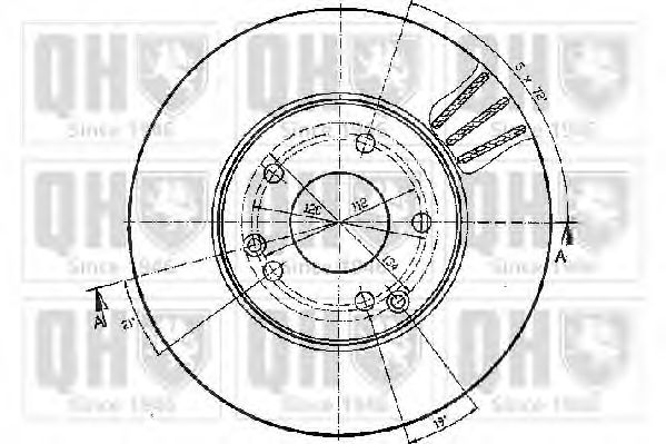 Disc frana 1