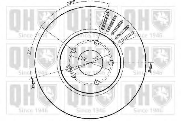 Disc frana 1