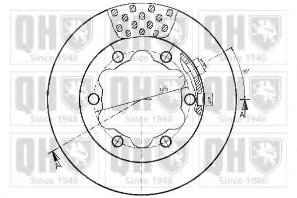 Disc frana 1