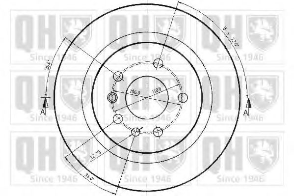 Disc frana 1