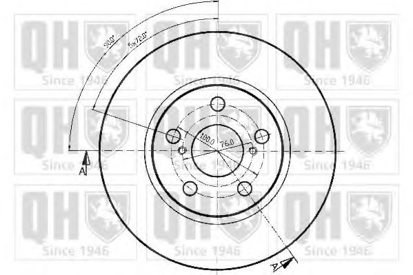 Disc frana 1