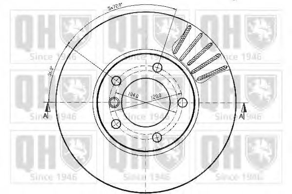Disc frana 1