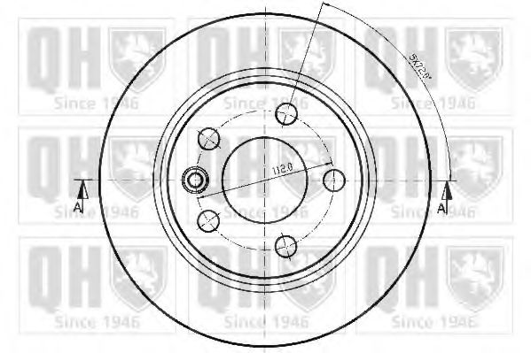 Disc frana 1