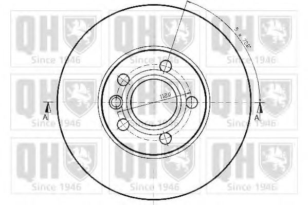 Disc frana 1
