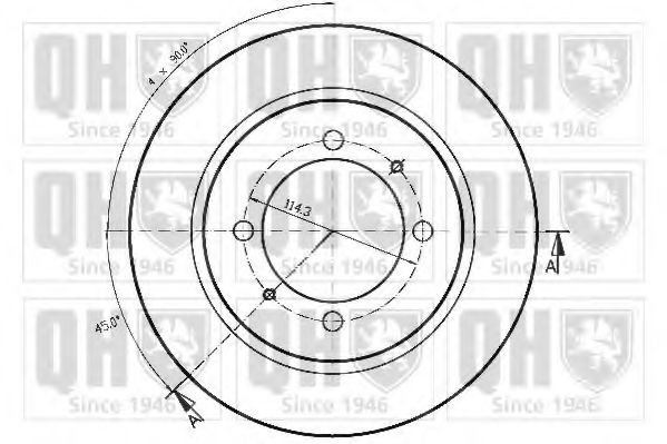 Disc frana 1