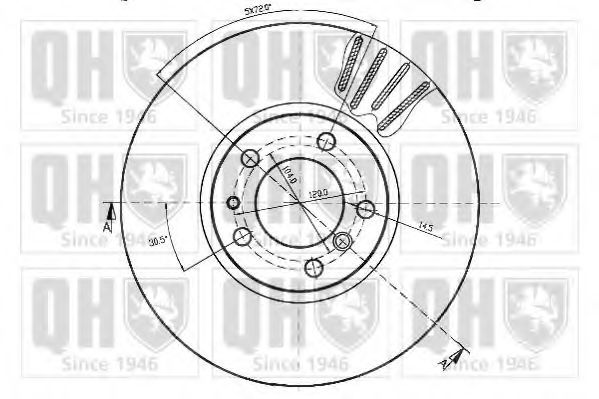 Disc frana 1