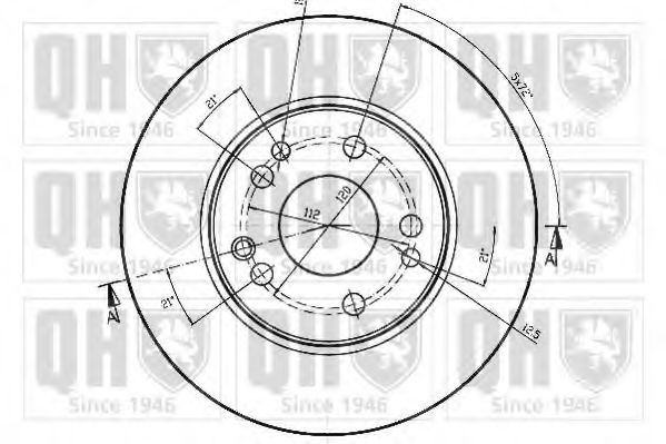 Disc frana 1