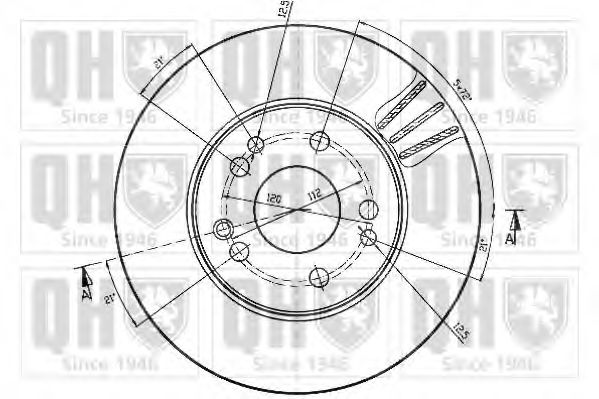 Disc frana 1