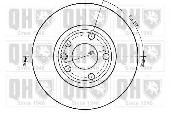 Disc frana 1