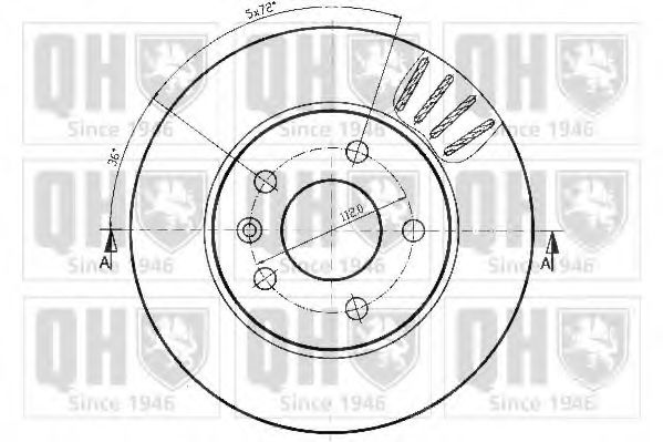 Disc frana 1