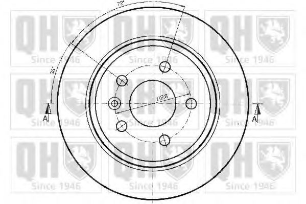 Disc frana 1