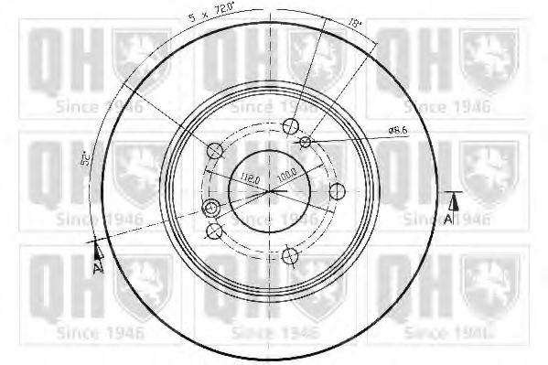 Disc frana 1