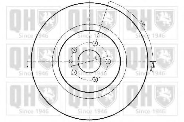 Disc frana 1