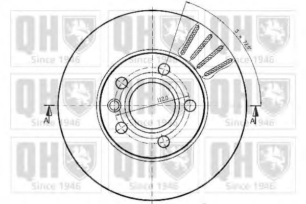 Disc frana 1