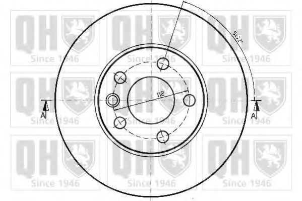 Disc frana 1