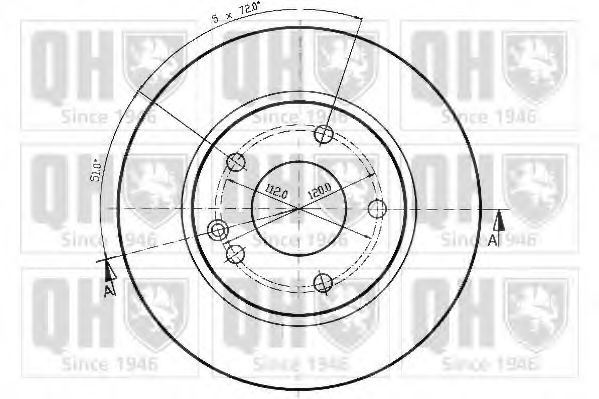 Disc frana 1