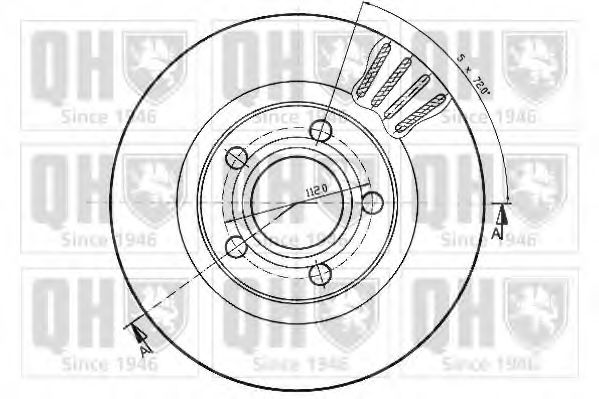 Disc frana 1