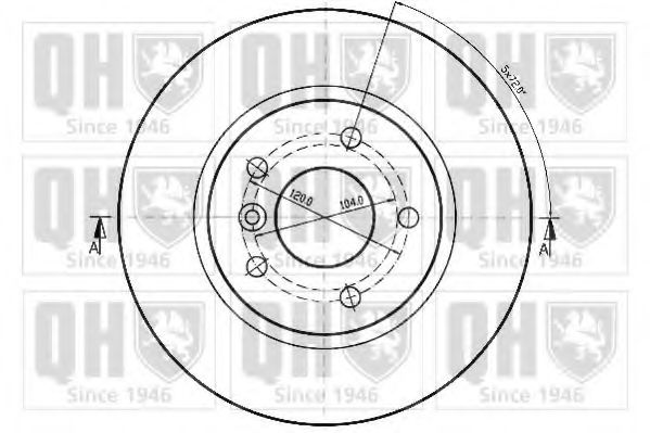 Disc frana 1