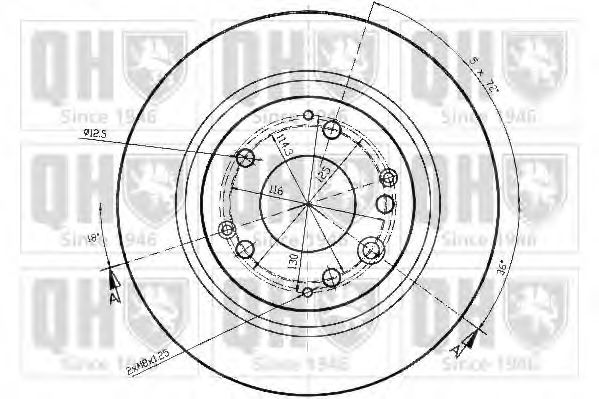 Disc frana 1