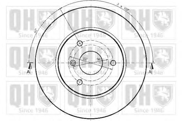 Disc frana 1
