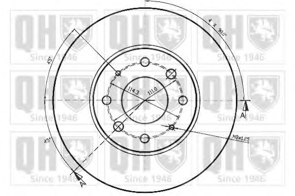 Disc frana 1