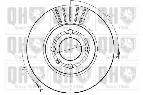Disc frana 1
