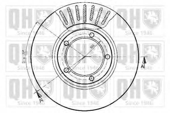 Disc frana 1