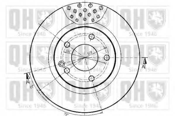 Disc frana 1