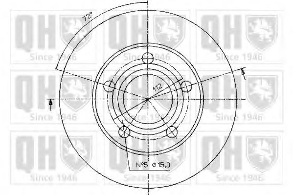Disc frana 1