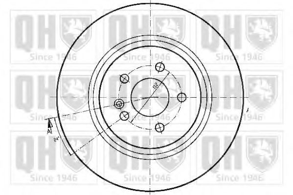 Disc frana 1