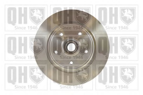 Disc frana 1