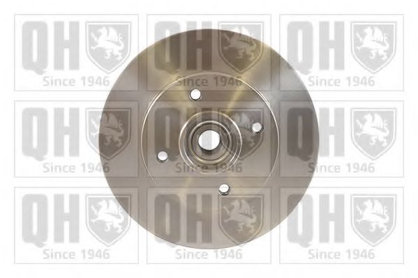Disc frana 1