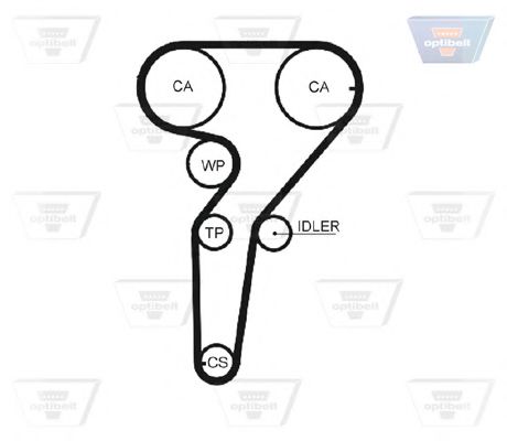 Curea de distributie 2