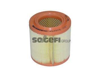 Filtru aer 1