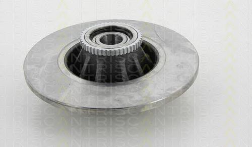 Disc frana 1