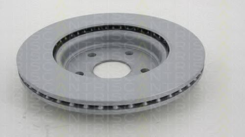 Disc frana 1