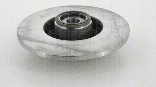 Disc frana 1