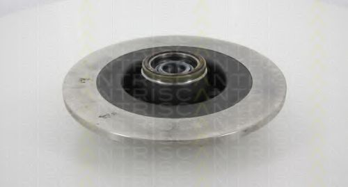 Disc frana 1