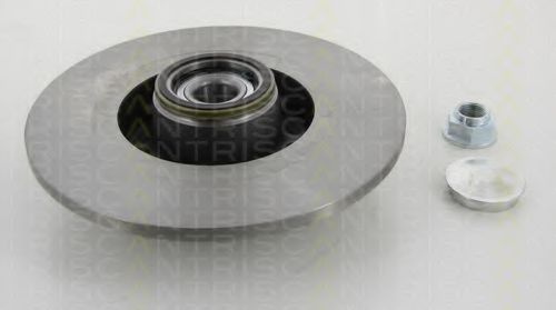 Disc frana 1