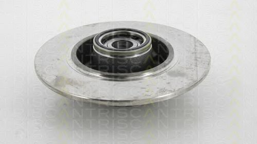 Disc frana 1