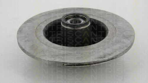Disc frana 1