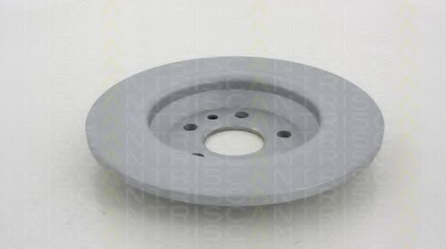 Disc frana 1