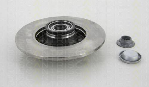 Disc frana 1