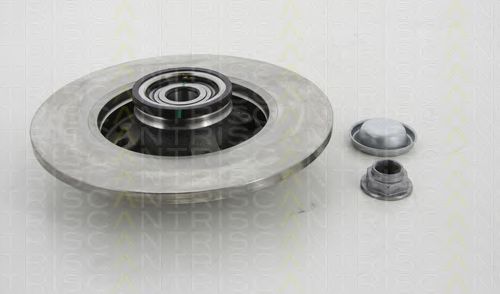 Disc frana 1