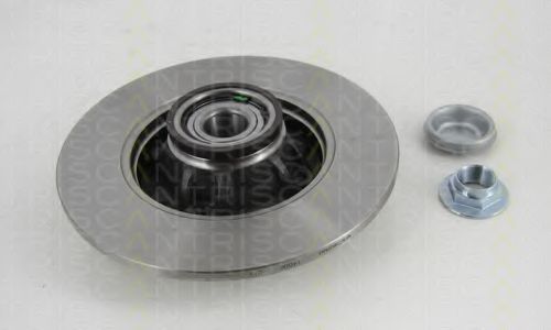 Disc frana 1