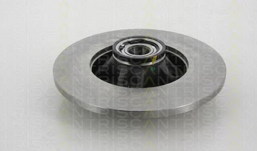 Disc frana 1