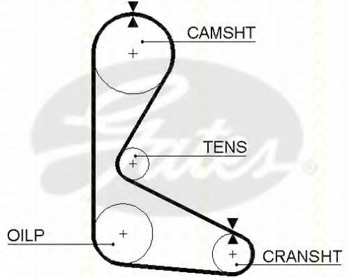 Curea de distributie 1