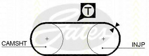 Set curea de distributie 1