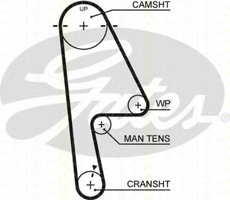 Set curea de distributie 1