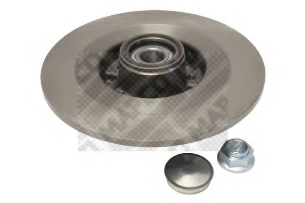 Disc frana 1